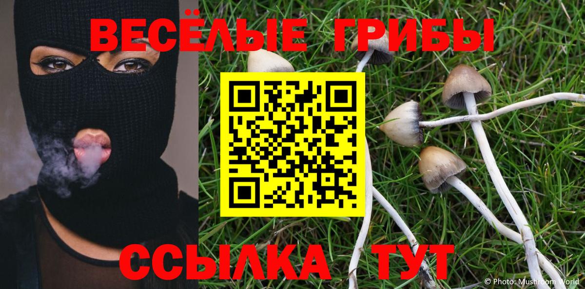 Псилоцибиновые грибы Magic Shrooms  Вход с VPN  наркота  Галлюциногенные грибы Psilocybe  Протвино 